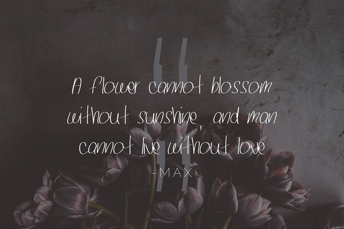 Alexander - Handwritten Font preview 4