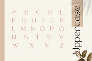 Rollgates Luxury, a Sans Serif Font by Cotbada_studio (Thumbnail 8 of 12)
