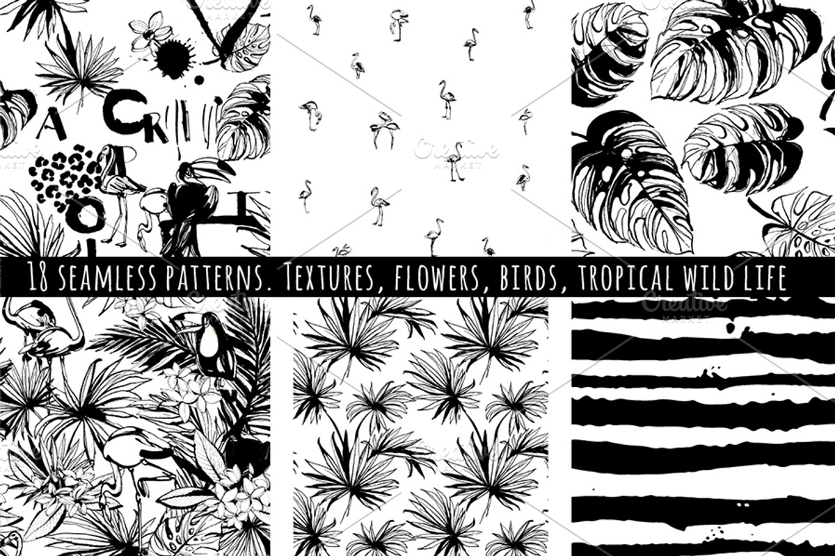 18 handdrawn tropical b&w patterns, a Decorative Illustration by VasilkovS (Photo 3 of 4)