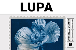 Lupa Co · Cyanotype Botanical Stamps