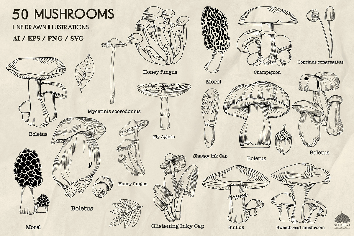 Mushrooms Line Art + Procreate, an Illustration by Skliarova (Photo 3 of 4)