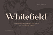 Whitefield - Handcrafted Serif, a Serif Font by AlienValley (Thumbnail 1 of 8)