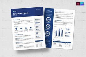 Factsheet Template, a Flyer Template by BrandPacks