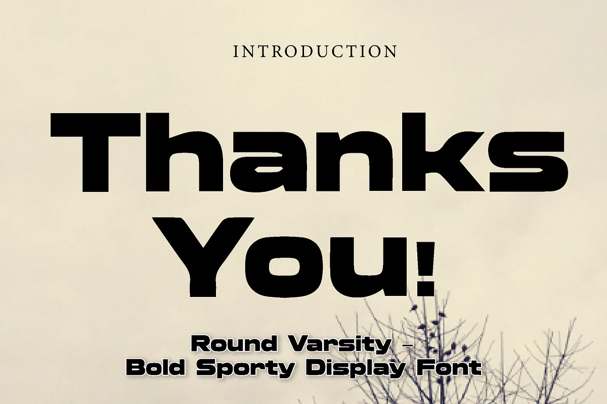 Round Varsity, a Slab Serif Font by Wow Magic (Photo 3 of 3)