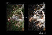 Milky White - Actions and Presets, a Preset Add-On by Hydrozi Presets (Thumbnail 2 of 6)