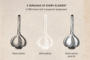 Vegetables & Herbs Vector Sketches., an Object Graphic by Yevheniia (Thumbnail 10 of 11)