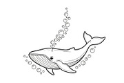 Whale Line Art Vector Bundle, an Illustration by yasushie (Thumbnail 39 of 51)
