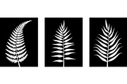 Black Laser Cut Panel Set, an Object Graphic by jahid234 (Thumbnail 5 of 13)