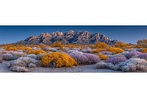 In Big Bend National Park, Texas, an Industrial Photo by ZinetroN