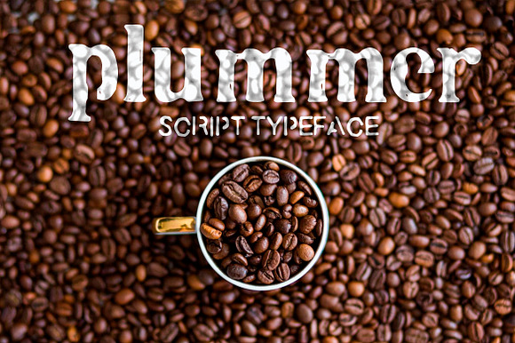 Plummer Script Typeface preview 7