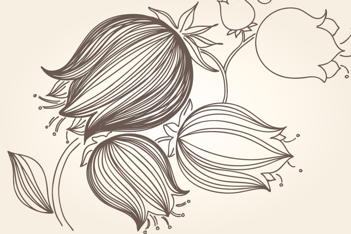 Vintage GARDEN for coloring pages, a Decorative Illustration by ekaart (Photo 9 of 10)