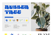 Seasonal Botany BUNDLE, an Object Graphic by Ruslana Lubenets (Thumbnail 80 of 100)