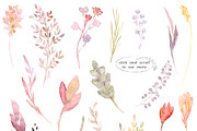 Watercolor clipart Delicate herbs, an Illustration by AqwaColor (Thumbnail 6 of 6)