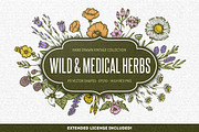 Wild & Medical Herbs, a Food Illustration by Chelovector (Thumbnail 1 of 5)