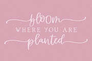 Cottage Charm Calligraphy Font, a Script Font by Beck McCormick (Thumbnail 4 of 10)