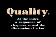 Trellis//Typeface Bold Serif, a Serif Font by Kleffont Studio (Thumbnail 10 of 10)