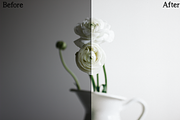 Film Style Lightroom Presets, an Action Add-On by Alena Ermakova (Thumbnail 2 of 9)