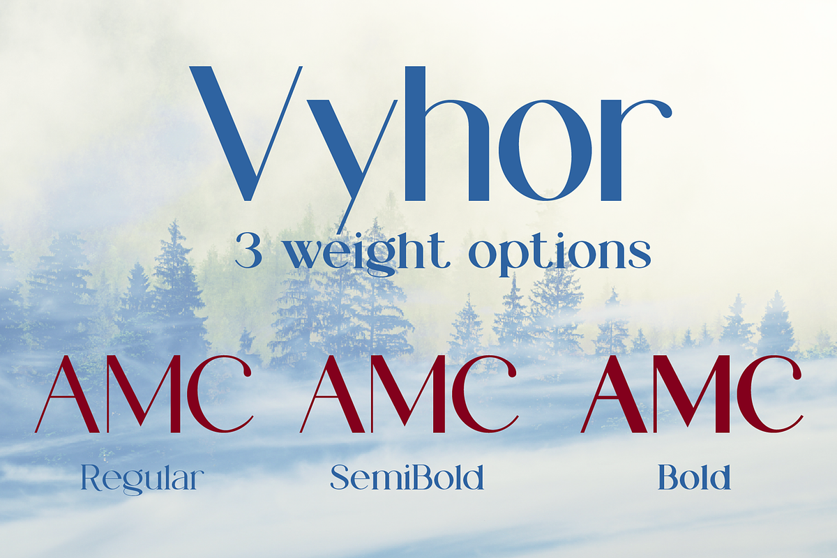 Vyhor font family, a Sans Serif Font by vlad.berla (Photo 3 of 8)