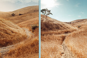Golden Fields Lifestyle Stock Photo, a Beauty & Fashion Photo by Munopia (Thumbnail 7 of 7)