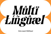 Askey - Funky Serif, a Serif Font by Craft Supply Co. (Thumbnail 6 of 8)