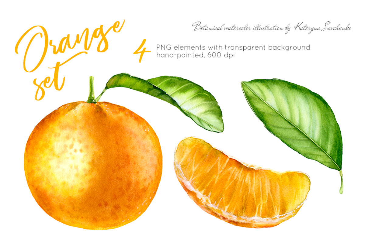 Orange Set. Watercolor clipart, a Graphic by Akvarelldesign