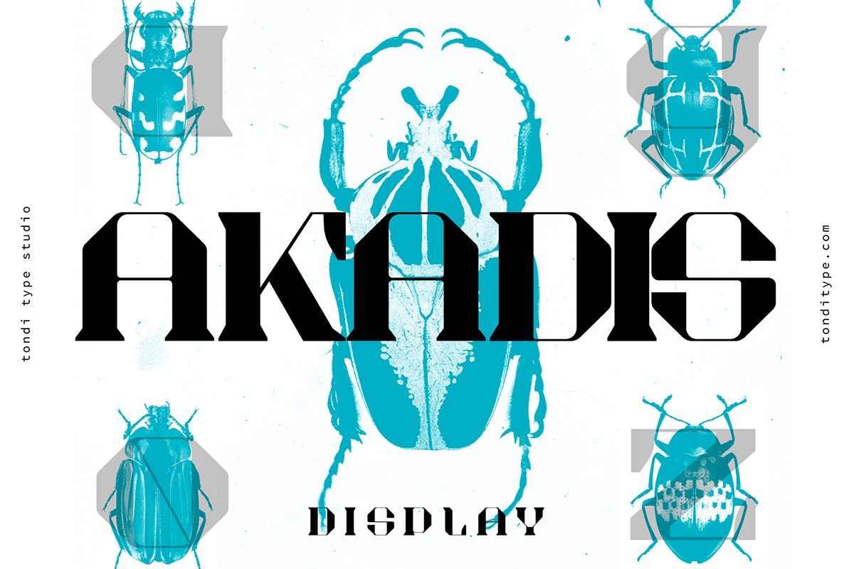 Akadis Display Font, a Serif Font by Tondi Type Studio (Photo 11 of 18)