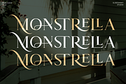 Carolina || Modern Serif  Font, a Serif Font by Idea Studio (Thumbnail 10 of 12)