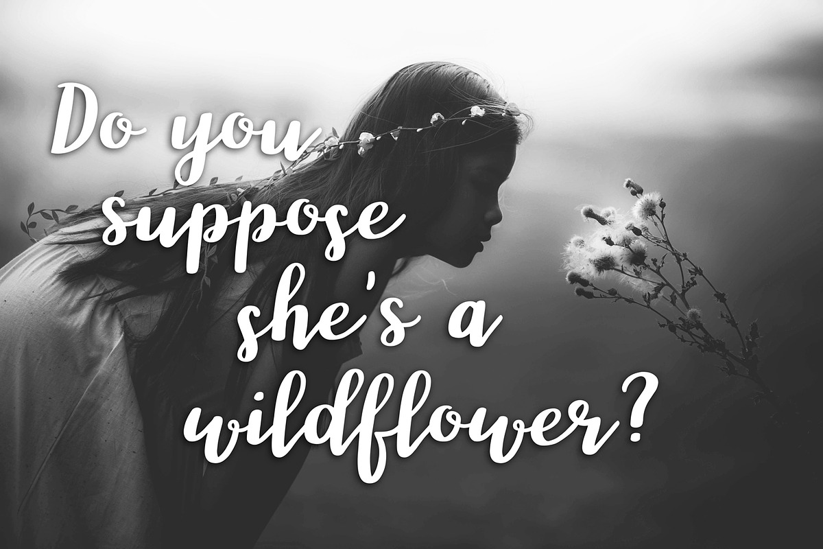 Scripts Font Bundle, 8 fonts, a Script Font by Rachel White Art (Photo 5 of 17)