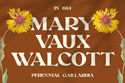 Raginy Blur, a Serif Font by Craft Supply Co. (Thumbnail 4 of 8)