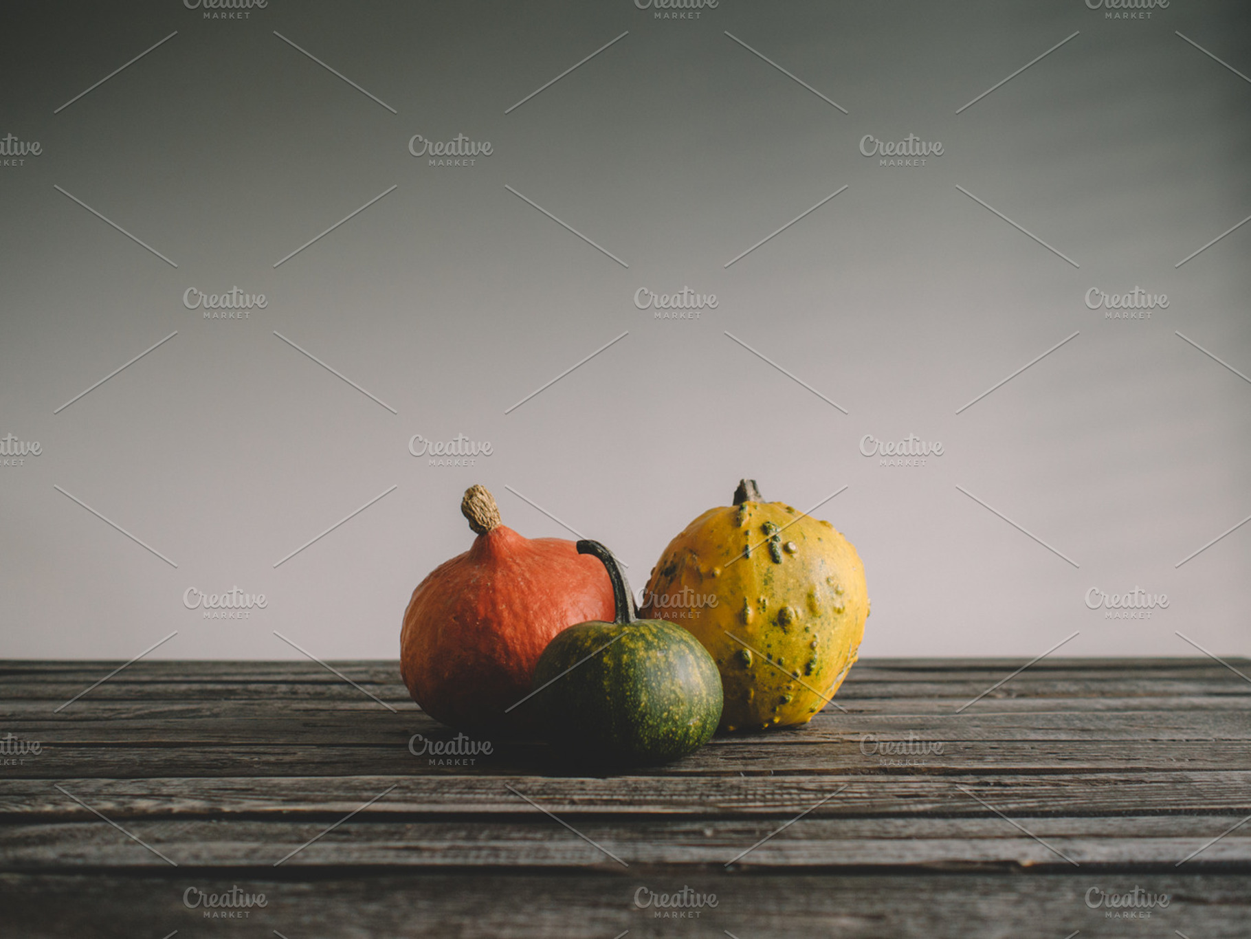 Colorful halloween pumpkins containing colorful, pumpkin, and pumpkins, a Holiday Photo by Pawel Kadysz