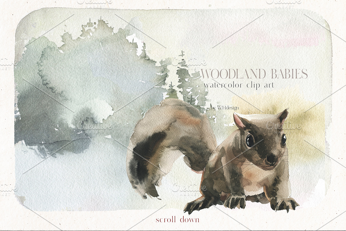 Woodland Babies Wild Animals Clipart, an Animal Illustration by whiteheartdesign (Photo 11 of 28)