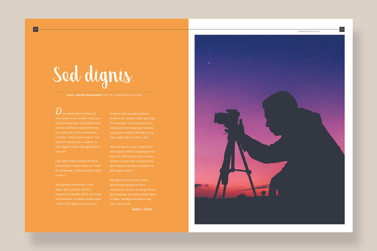 Magazine Template 06, a Magazine Template by pmvch (Photo 11 of 12)