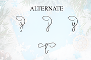Winter Birthday | Script Font, a Handwritten Font by Scratchones (Thumbnail 8 of 9)