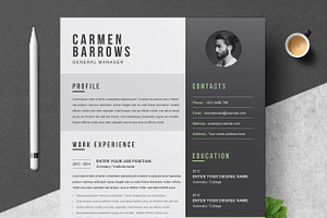 Professional Resume / CV Template