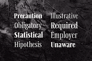 Svelte; Condensed Serif Family, a Serif Font by Eko Bimantara (Thumbnail 3 of 6)