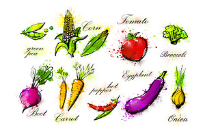Vegetable set hand drawn. Not AI, a Food Illustration by Nenahliadava Design