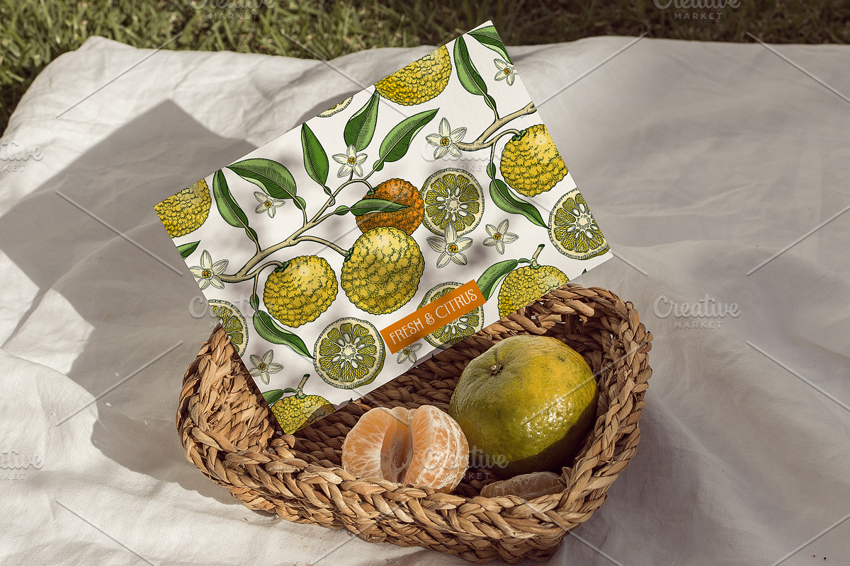Yuzu - Citrus Fruit and Patterns, a Food Illustration by Yevheniia (Photo 12 of 12)