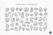Sea Shells Whimsical Collection, an Object Graphic by Alena Koval (Thumbnail 4 of 19)