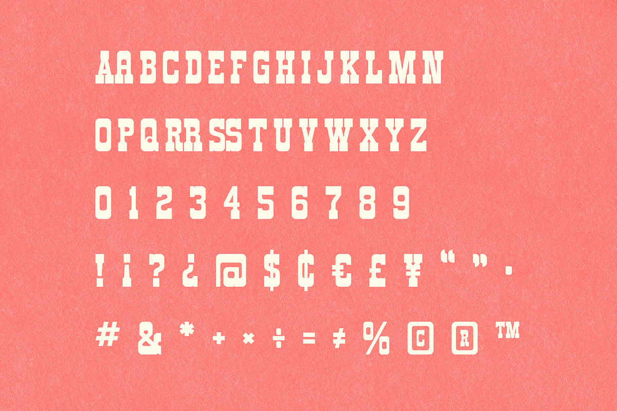 Salo - Display Font, a Serif Font by Tim Hankins Design (Photo 2 of 14)