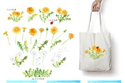 Watercolor Dandelions, an Illustration by JennyColorArt (Thumbnail 2 of 4)