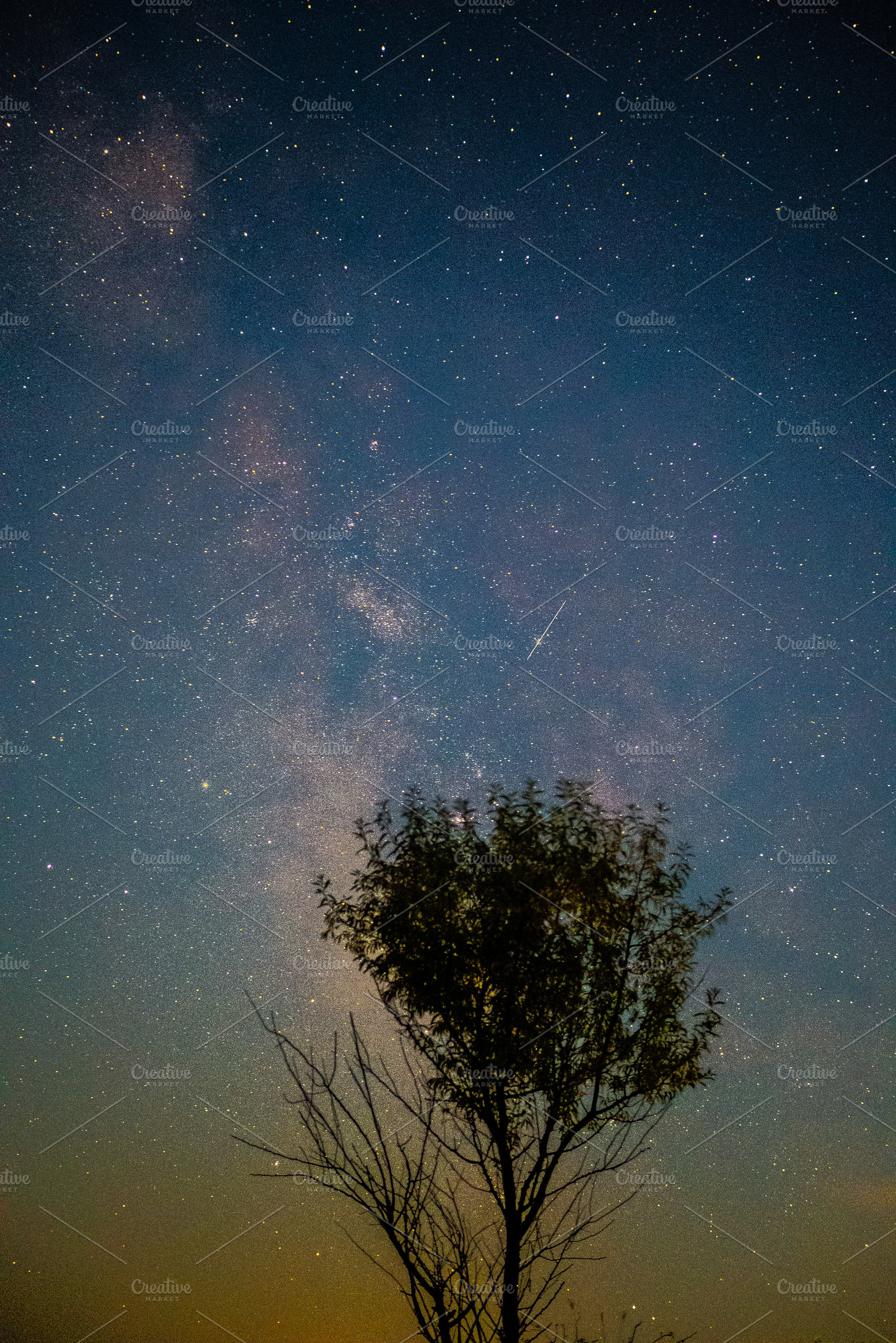 Milky way and tree, a Nature Photo by E+A Store