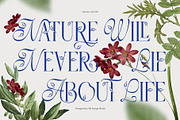 Gamory Typeface, a Serif Font by alit design (Thumbnail 15 of 21)
