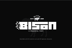 Black Bison, a Sans Serif Font by Linecreative