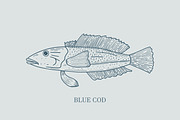 Hand drawn vectors of saltwater fish, an Animal Illustration by Naty Art (Thumbnail 10 of 11)