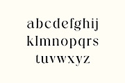 Roscia Sylvia Elegant Serif Font, a Serif Font by UICreative (Thumbnail 5 of 13)