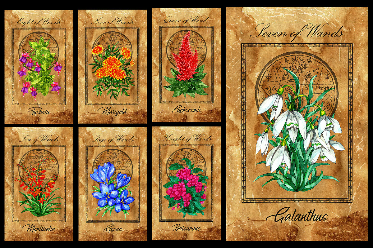 Enchanted flowers tarot deck, a Decorative Illustration by Samiramay (Photo 5 of 12)