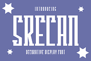 Srecan, a Serif Font by lelevien (Thumbnail 4 of 6)