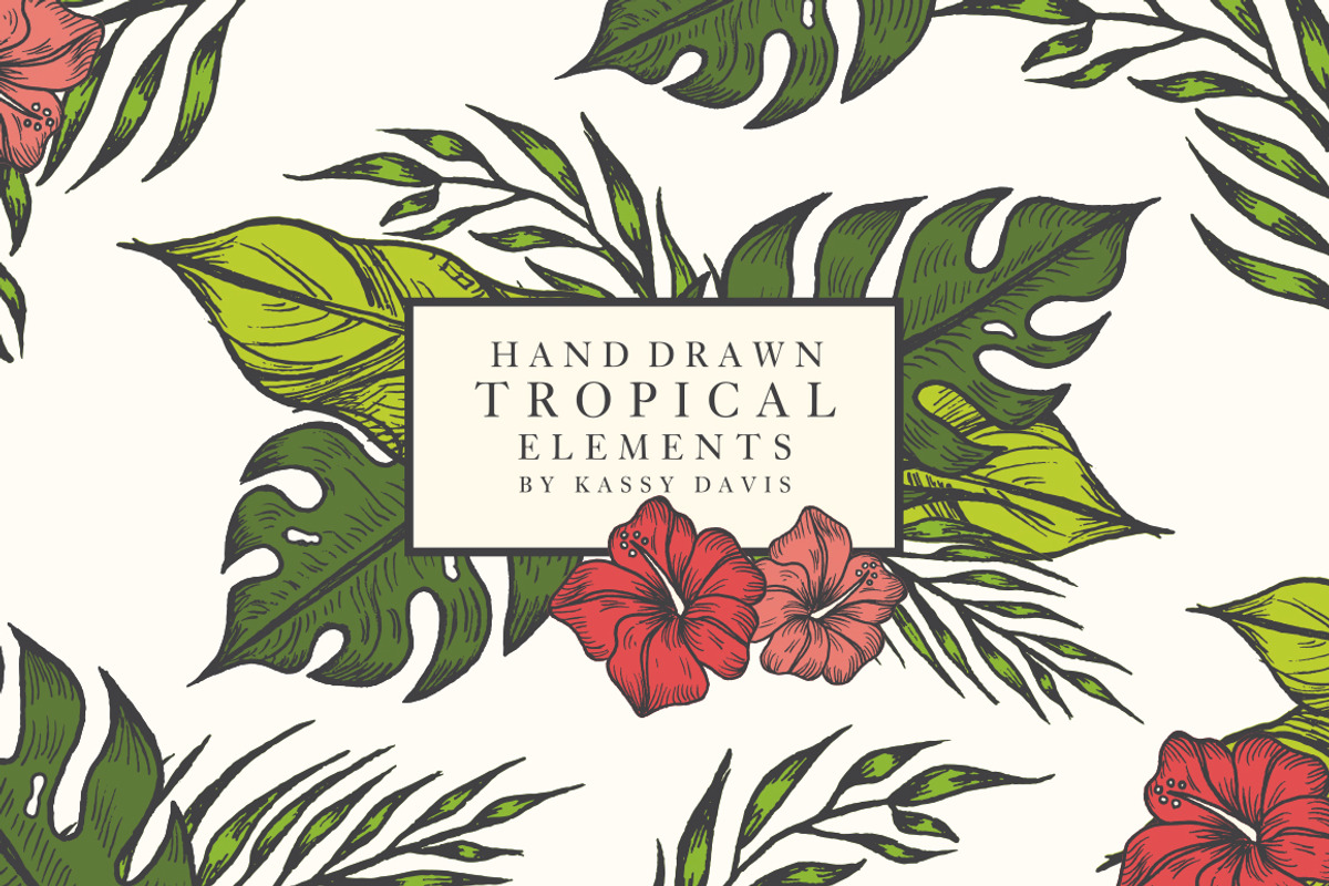 Hand Drawn Tropical Vector Elements, an Illustration by GraphicsByKassy (Photo 1 of 5)