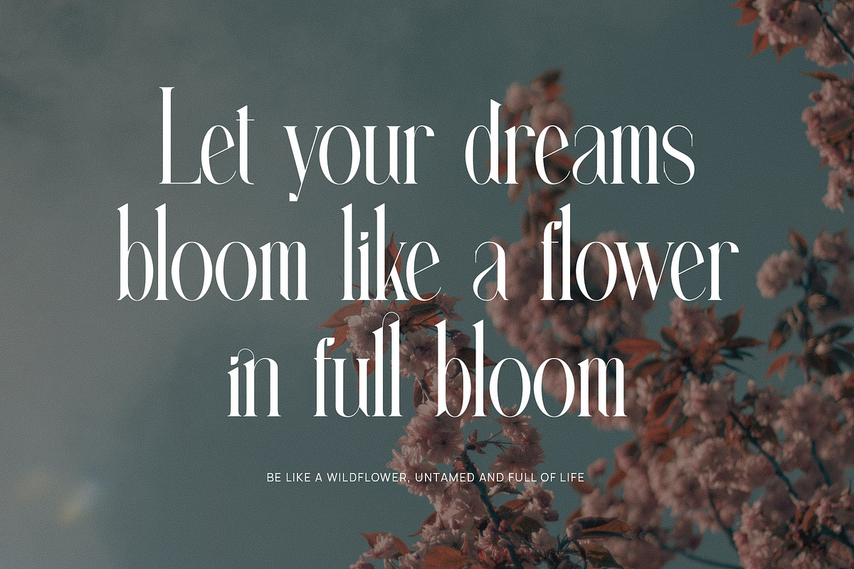 Neittgan Elegant Ligature Serif Font, a Serif Font by Perfectype (Photo 5 of 6)