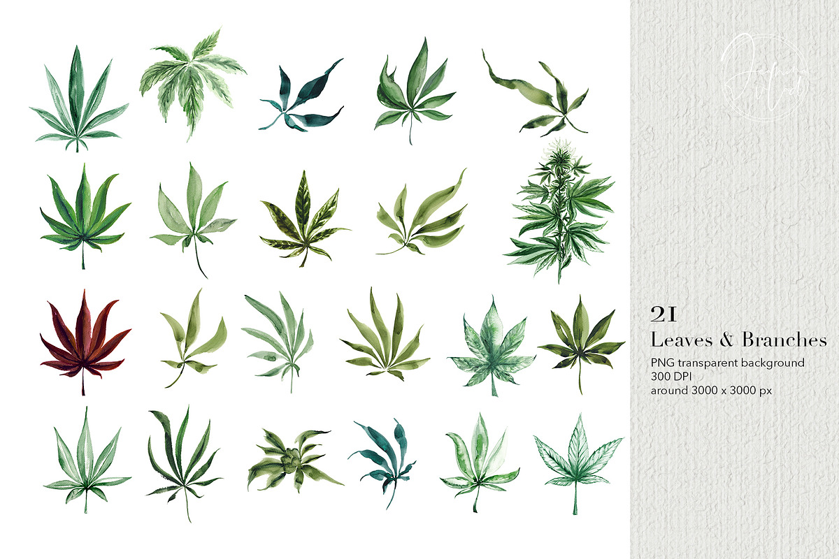 I Love Cannabis - Watercolor Set, an Object Graphic by Jeanina Vlad (Photo 3 of 13)